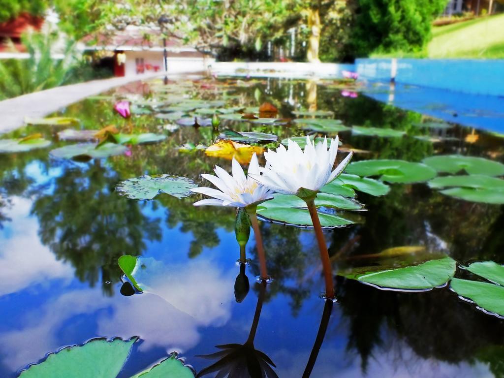 Royal Kalaw Hills Resort Eksteriør billede